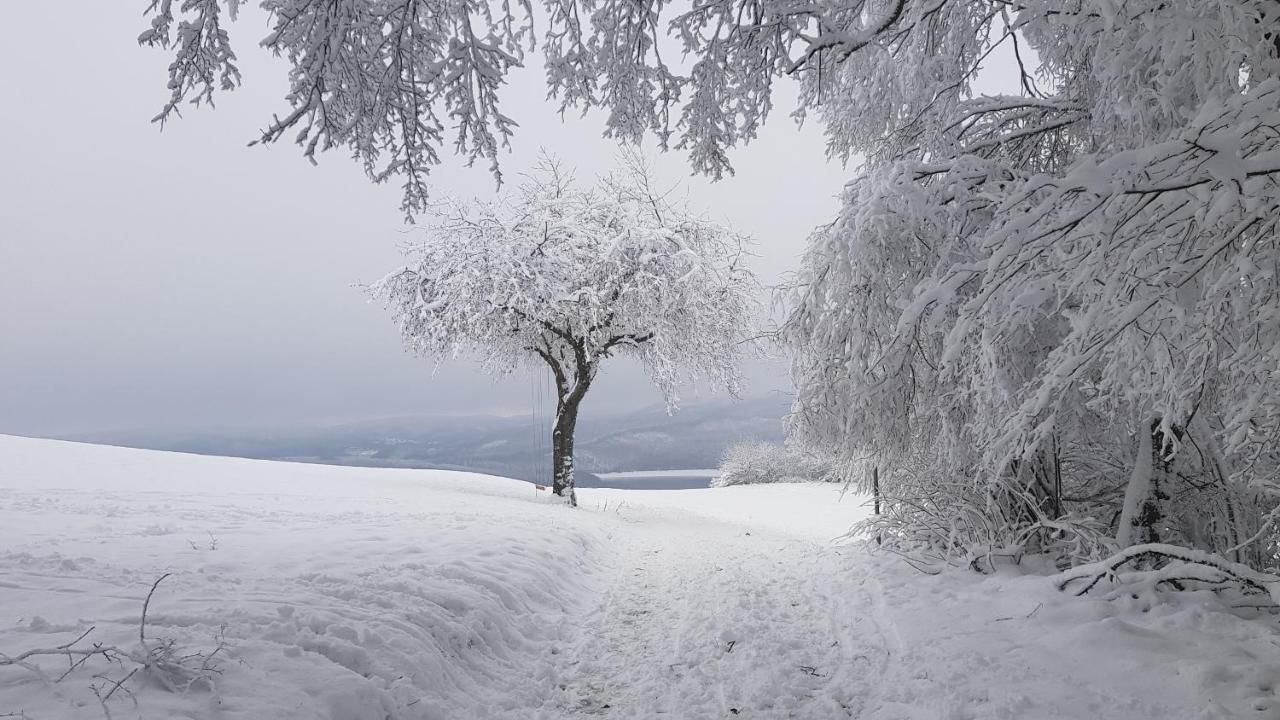 Sonnenschein Am Rursee Simmerath Buitenkant foto