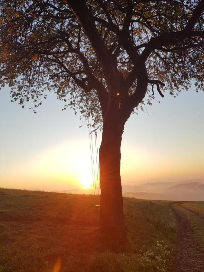 Sonnenschein Am Rursee Simmerath Buitenkant foto