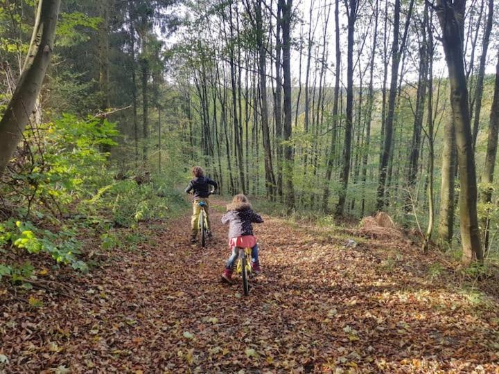 Sonnenschein Am Rursee Simmerath Buitenkant foto