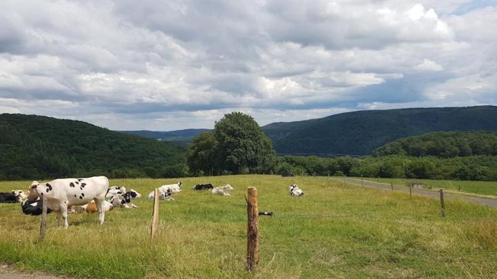 Sonnenschein Am Rursee Simmerath Buitenkant foto